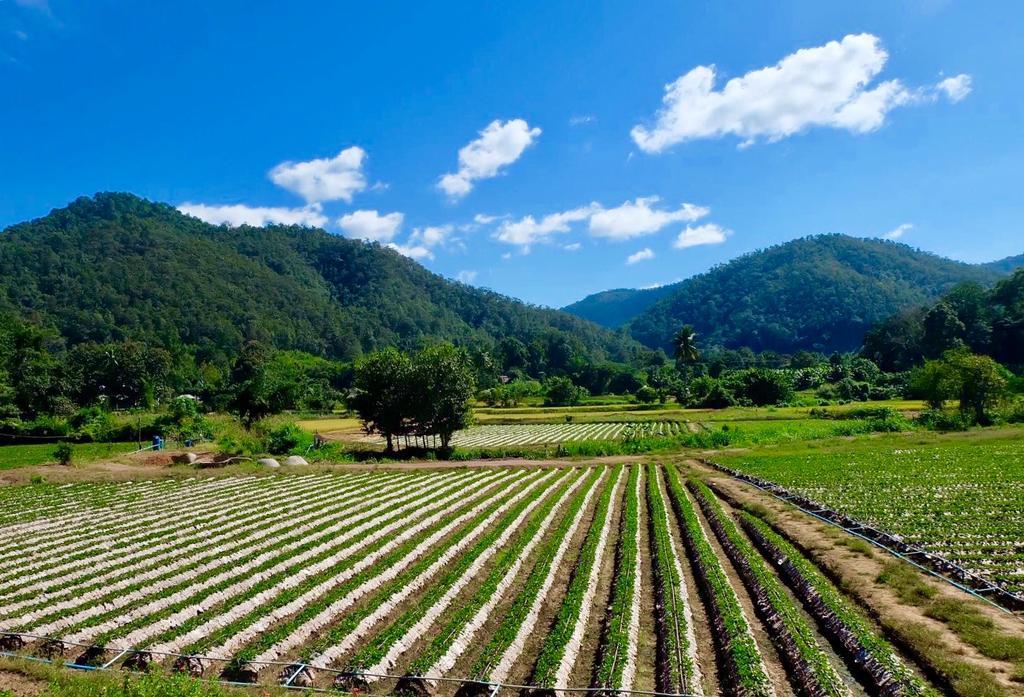 Willa Wongwan Farm Samoeng Zewnętrze zdjęcie